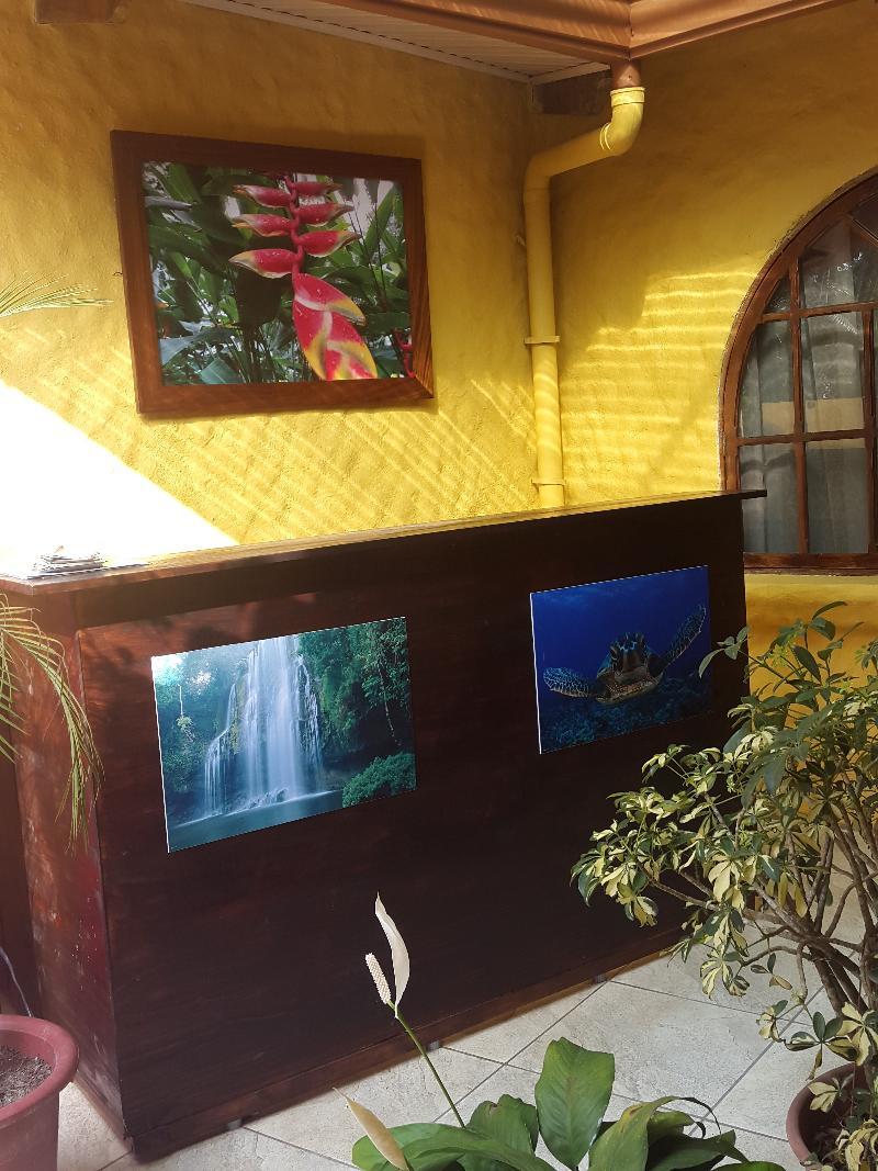Hotel Colibri 曼努埃尔安东尼奥 外观 照片